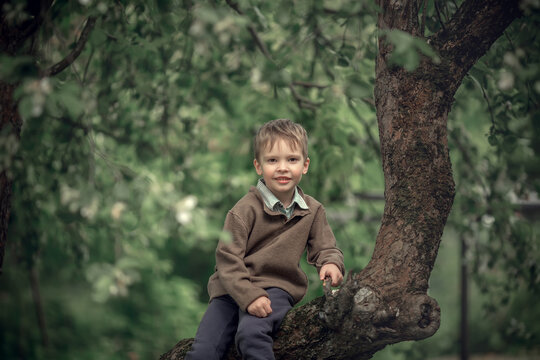 Portrait of a little cute изг sitting on the apple tree. Image with selective focus and toning