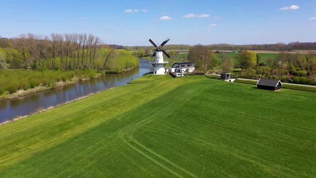 Field of fruit trees in white blossom with white windmill