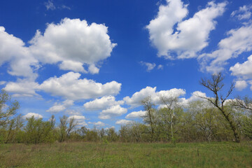 Fototapeta na wymiar clouds over spring meadow