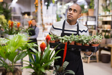 Portrait of male florist selling potted flowers in his shop