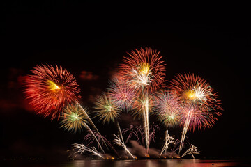 Firework in dark sky background