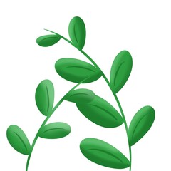 flower spring branch green on white background