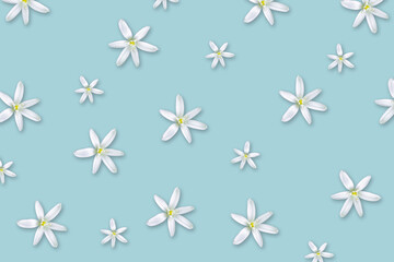 Fototapeta na wymiar pattern of white flowers on a blue background