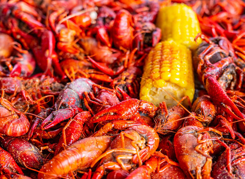 Boiled Crawfish with Yellow Corn on the Cob