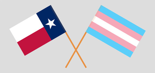 Crossed flags of the State of Texas and Transgender Pride. Official colors. Correct proportion