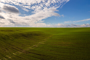 Aerial view of bright green agricultural field in early spring.