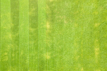 Close up aerial view of surface of green freshly cut grass on football stadium in summer.