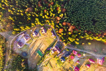 Aerial view of a village houses near dense green pine forest with canopies of spruce trees in autumn mountains.