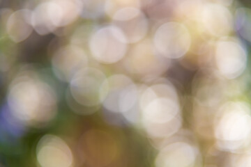 Abstract pastel green bokeh with light circles of defocused blur.