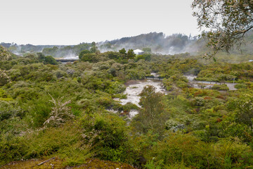 Geothermal Valley Te Puia