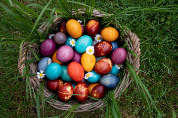 Easter eggs with daisy flowers in a basket