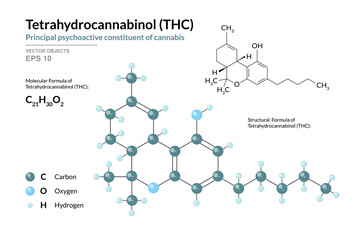 THC. Tetrahydrocannabinol. Psychoactive constituent of cannabis. Structural Chemical Formula and Molecule 3d Model. C21H30O2. Atoms with Color Coding. Vector Illustration