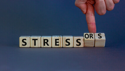 Stress and stressors symbol. Businessman turns cubes, changes words 'stress' to 'stressors'. Beautiful grey background. Medical, psychological, stress and stressors concept. Copy space.