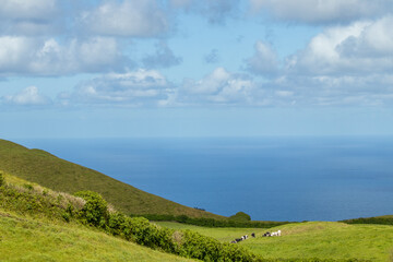 Fototapeta na wymiar Green and blue landscape, land, ocean and clouds.