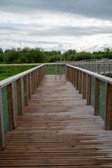 Obraz premium Wooden walk track in green park