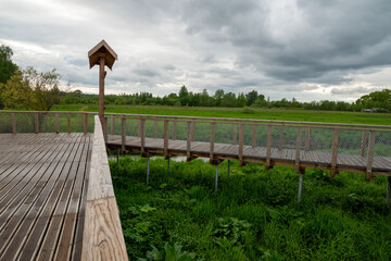 Fototapeta na wymiar Wooden walk track in green park