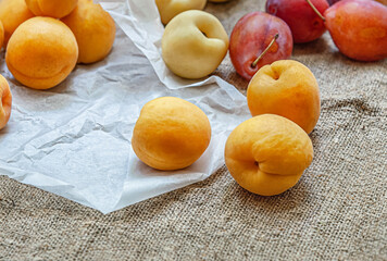 Naklejka na ściany i meble sweet ripe apricots, plums and nectarines close up