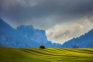 Piękno Wiosennych Pienin © Wojciech Lisiński