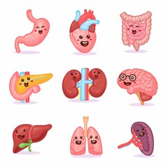 Cute kawaii strong happy human healthy strong organs set. Vector cartoon character illustration icon design. Isolated on white background - obrazy, fototapety, plakaty