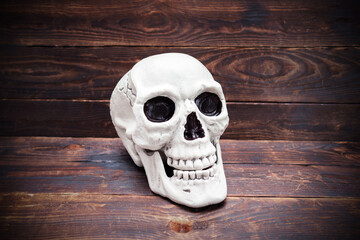 Human skull on wooden plank surface.