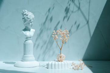 Trendy interior still life with sunlight and shadows. Geometric shapes, plaster girl face and gypsophila flowers on a light blue background.	
