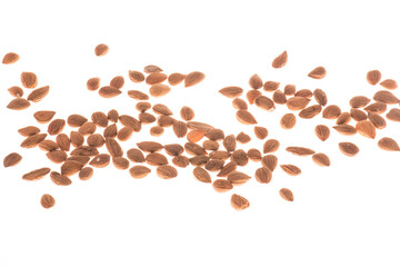 High Angle View Of Almonds On White Background
