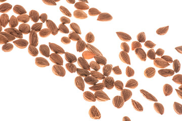 High Angle View Of Almonds On White Background