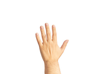 back hand isolated on white background doing five