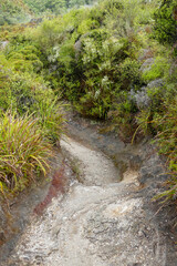 Geothermal Valley Te Puia