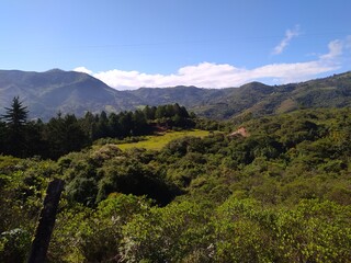 Bosque rodeado de montañas