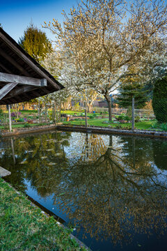Paysage campagne 873