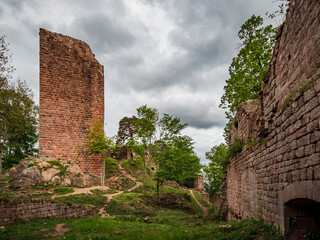 Fototapeta premium Medieval Castle Landsberg in Vosges, Alsace. Ancient ruins in the mountains.
