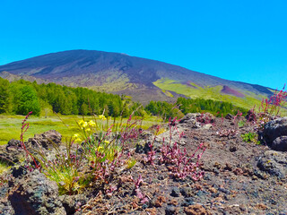 Paesaggio vulcanico del monte etna in sicilia, vista del cratere centrale dal rifugio della galvarina © AntoMes