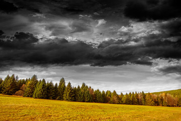 Fototapeta na wymiar autumnal landscape and black and white sky