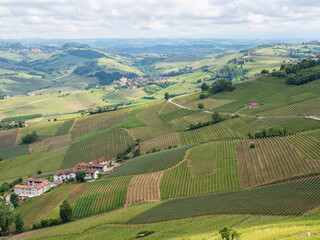 Fototapeta na wymiar Landscape of Langhe and its vineyards