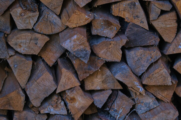 Dry firewood stacked for kindling