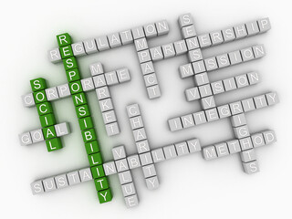 3d Social Responsibility word cloud on a white background.