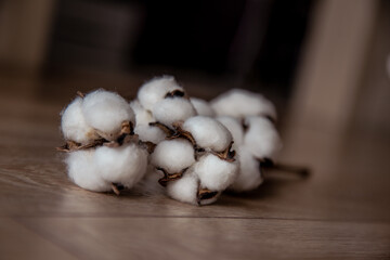 cotton on the table