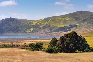 Santa Maria, CA, USA - May 21, 2021: Brown dried ranch land and green yellowish hills with dark...