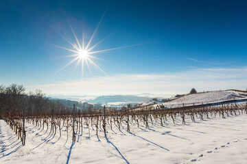 Weinberg im Winter mit Schnee in Sachsen, Deutschland