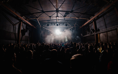 people in a concert
