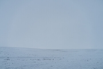 An empty field of snow during a snowstorm in the rural countryside