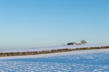 A sunny snowy farm on a hill in rural countryside during winter