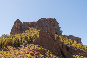 Formación rocosa con árboles en el Parque Nacional del Teide
