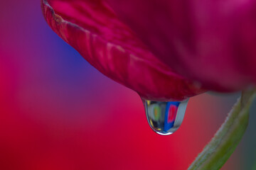 Gota de Agua
