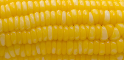 boiled corn for texture and background.