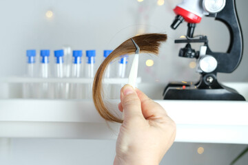 laboratory assistant examines a hair sample, curls in a package for research by genetic research in laboratory, trichologist conducts test, concept of DNA analysis, establishing paternity