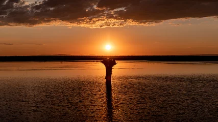 Fotobehang Scenic sunset over a lake with clouds reflection on a calm water surface, South East of Oregon. A trunk of an old broken tree against setting sun © Dmitry