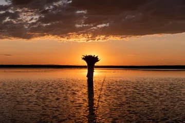 Tapeten Scenic sunset over a lake with clouds reflection on a calm water surface, South East of Oregon. A trunk of an old broken tree against setting sun © Dmitry