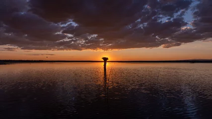 Foto op Canvas Scenic sunset over a lake with clouds reflection on a calm water surface, South East of Oregon. A trunk of an old broken tree against setting sun © Dmitry
